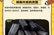 东莞环保炭厂家哪家好_环保炭价格多少钱一吨