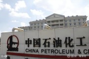 中国石化未来前景怎么样_中国石化值得长期投资吗