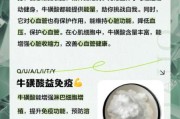 牛磺酸的作用与功效_牛磺酸适合什么人吃