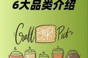 啤酒品牌如何选_精酿啤酒有哪些种类