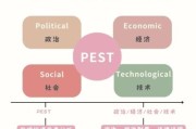 体育行业pest分析_体育政策如何影响市场