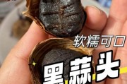 黑蒜前景怎么样_黑蒜市场潜力有多大