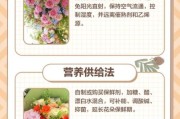 鲜花怎么保鲜时间长_鲜花店进货渠道有哪些