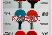 乒乓球拍怎么选_初学者用什么球拍