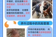 肉牛养殖成本怎么算_肉牛品种选择哪个好