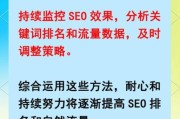 如何提升网站排名_做SEO优化需要多久见效