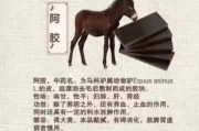 阿胶的功效与作用_阿胶适合什么人吃