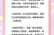 婚礼策划前景怎么样_新人如何入行