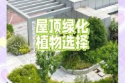 屋顶绿化多少钱一平_屋顶绿化有前途吗