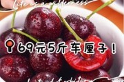 樱桃多少钱一斤_樱桃怎么挑选才甜