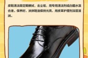 皮鞋怎么选_真皮皮鞋保养方法