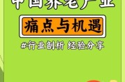 养老产业前景如何_如何抓住养老产业机遇