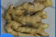 生姜在哪里买便宜_生姜网上销售渠道有哪些
