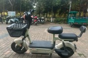 电动自行车哪个牌子好_电动自行车续航多久