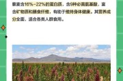 藜麦发展前景_藜麦种植前景怎么样