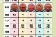 篮球培训班怎么选_篮球装备推荐清单