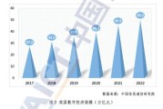 2017互联网产值_中国数字经济规模
