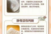 酵母粉怎么用_酵母粉过期还能用吗