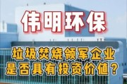 伟明环保集团有限公司怎么样_伟明环保集团做什么的