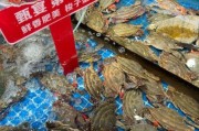海鲜市场未来五年会爆发吗_2024年做海鲜生意还能赚钱吗