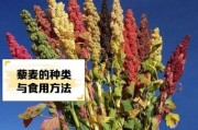 藜麦种植前景怎么样_藜麦市场未来五年趋势