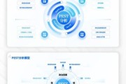 电商行业pest分析怎么做_电商pest模型应用案例