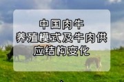 中国养牛前景怎么样_2025年养牛赚钱吗