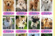 宠物犬养殖前景怎么样_2024年还能赚钱吗