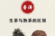 普洱茶怎么储存_普洱生茶和熟茶的区别