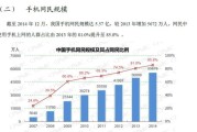 2013年互联网普及率_中国网民规模有多大
