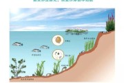 水生态修复技术有哪些_未来水生态前景如何