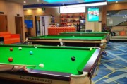 开台球厅赚钱吗_台球厅未来前景怎么样
