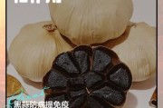 黑蒜的功效与作用_黑蒜多少钱一斤
