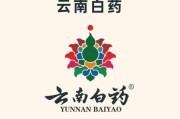 云南白药前景怎么样_云南白药未来增长点在哪