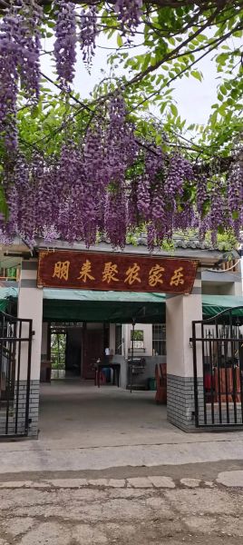 农家乐前景怎么样_如何开农家乐赚钱