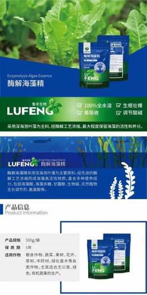 鲁丰科技有限公司怎么样_鲁丰科技做什么产品