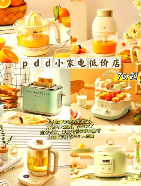 小家电哪个牌子好_2024年小家电行业前景如何