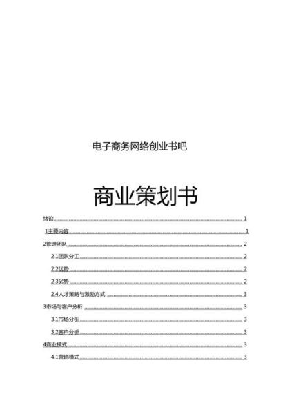 互联网项目策划案怎么写_项目策划书模板