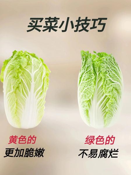 无公害蔬菜市场前景怎么样_如何进入无公害蔬菜市场