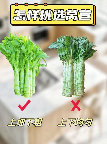 无公害蔬菜市场前景怎么样_如何进入无公害蔬菜市场