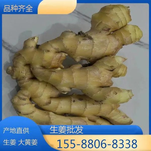 生姜在哪里买便宜_生姜网上销售渠道有哪些