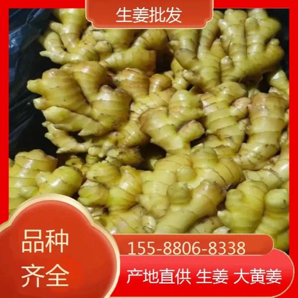 生姜在哪里买便宜_生姜网上销售渠道有哪些