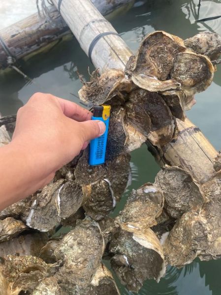 水产品发展前景怎么样_如何抓住水产品创业机会