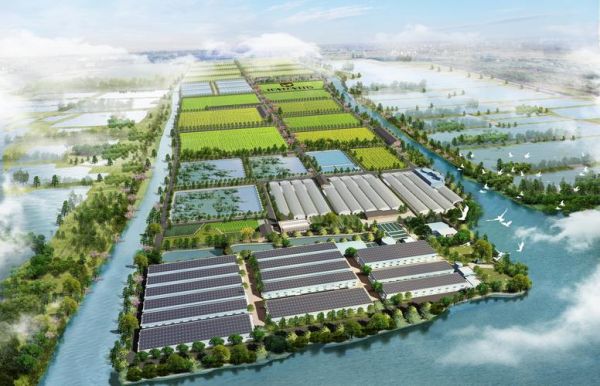 重庆立洋绿色产业发展有限公司怎么样_绿色农业项目有哪些