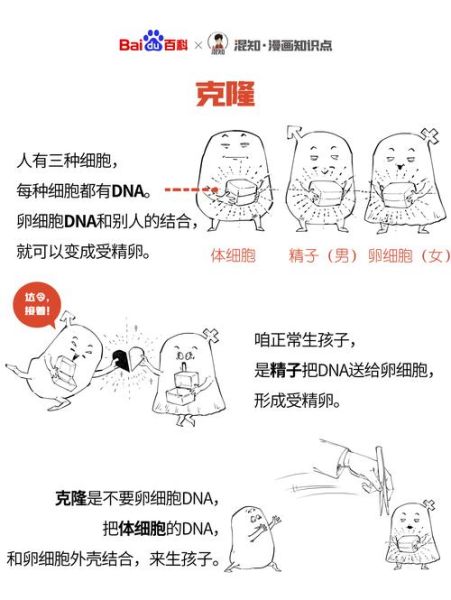 克隆技术未来应用_克隆伦理争议有哪些