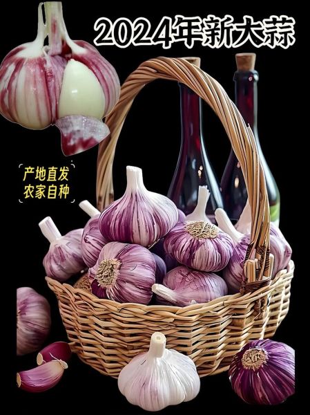 大蒜种植前景怎么样_2024年种大蒜赚钱吗