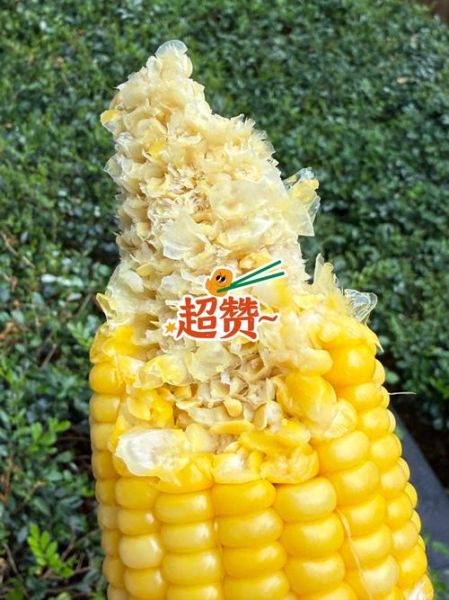 玉米米有前景吗_玉米米市场分析