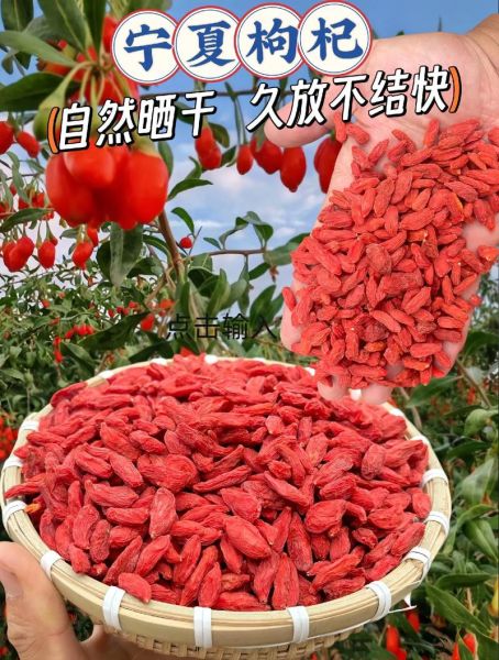 枸杞种植前景怎么样_2024年枸杞市场还能赚钱吗