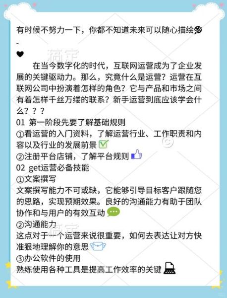 网站运营前景怎么样_新手如何入门