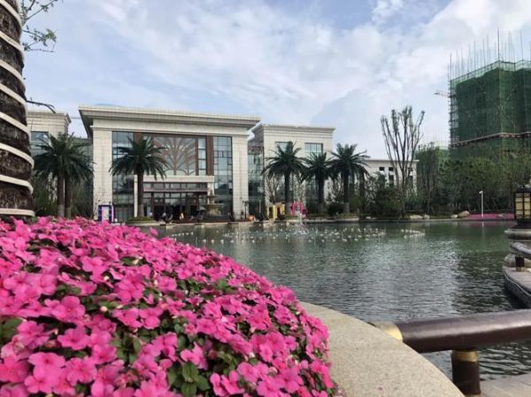 盛乐环保科技有限公司怎么样_盛乐环保科技有哪些服务